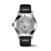 IW328201 Pilot's Watch Automatic Mark XX