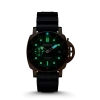 PAM02164 Submersible Goldtech