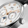 Portugieser Perpetual Calendar 42 IW344203