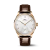 Portugieser Automatic 40 IW358404