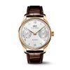 Portugieser Automatic 42 IW501706