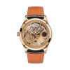 Portugieser Hand-Wound Tourbillon Day & Night IW545901
