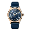 Pilot's Watch Mark XX Le Petit Prince IW328301
