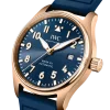 Pilot's Watch Mark XX Le Petit Prince IW328301