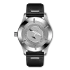 IW328207 Pilot’s Watch Mark XX